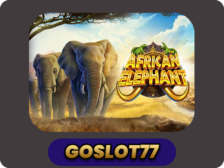 African Elephant